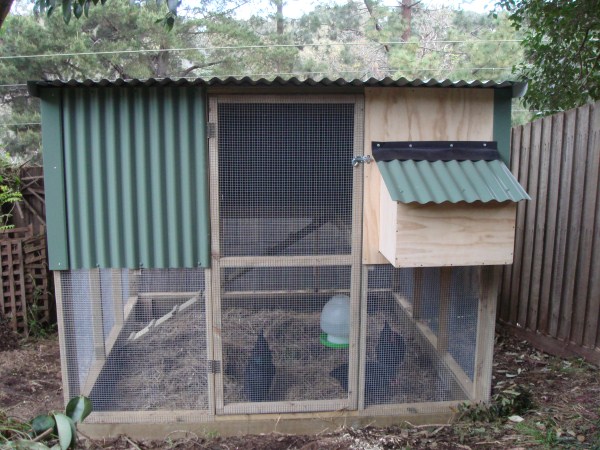 Two_storey_chookhouse_with_enclosed_run.jpg