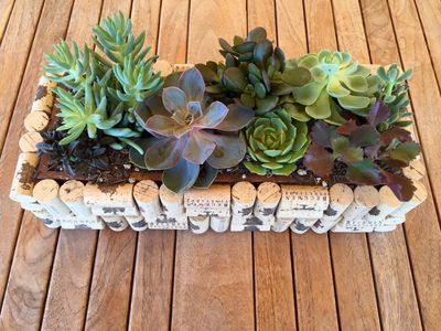 planter box