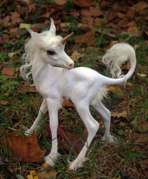 BabyUnicorn.jpg