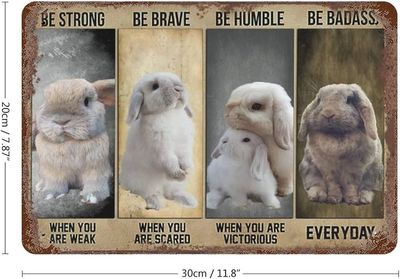 Bunniekins_7-1768349765201.jpeg