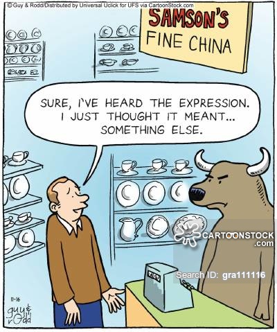 retail-bull_in_a_china_shop-expressions-phrases-idioms-bulls-gra111116_low.jpg