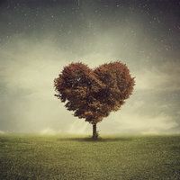 heart_tree_by_andrzejsiejenski-d72t7i8.jpg