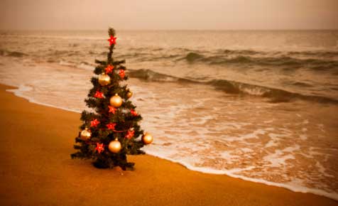 christmastreeonbeach476x290.jpg