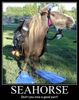 seahorse-pun-500x634.jpg