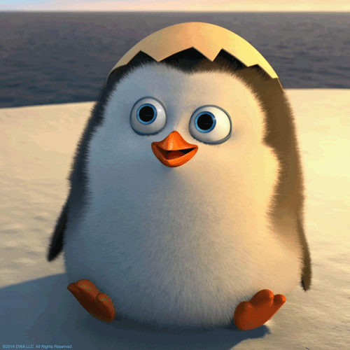 Hello Everyone :)