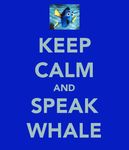 keep calm and speak whale.jpg